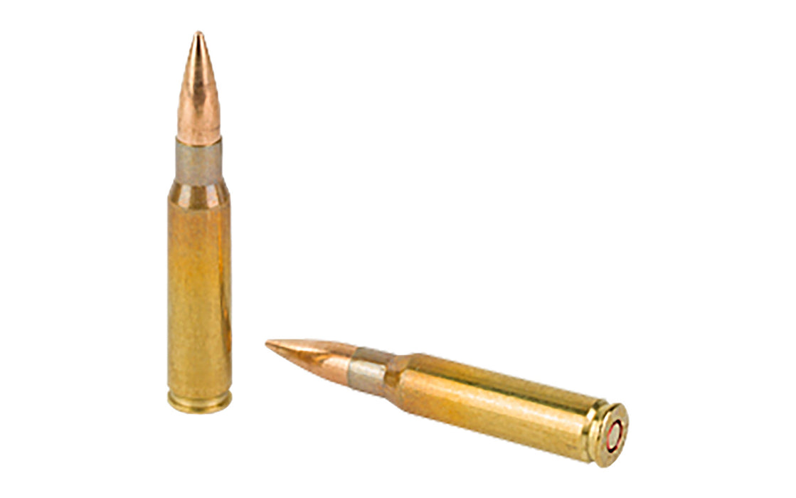 Sellier & Bellot SB76251 Rifle  7.62x51mmNATO 147gr Full Metal Jacket 20 Per Box/30 Case
