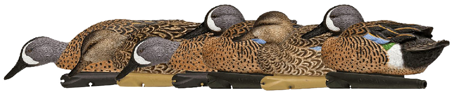 Avian X AVXAVX8080 Topflight  Blue-Winged Floating Teal Decoys Multi-Colored-6 Pack