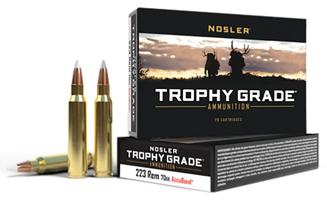 Nosler 61036 Match Grade  223Rem 70gr Soft Point 20 Per Box/20 Case