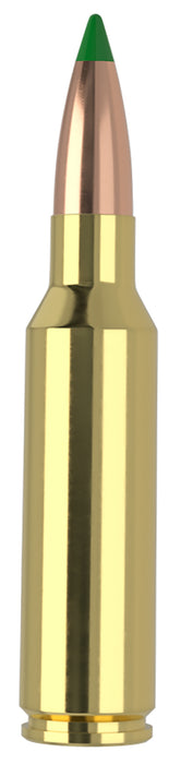 Nosler 61035   300WSM 165gr Ballistic Tip 20 Per Box/10 Case