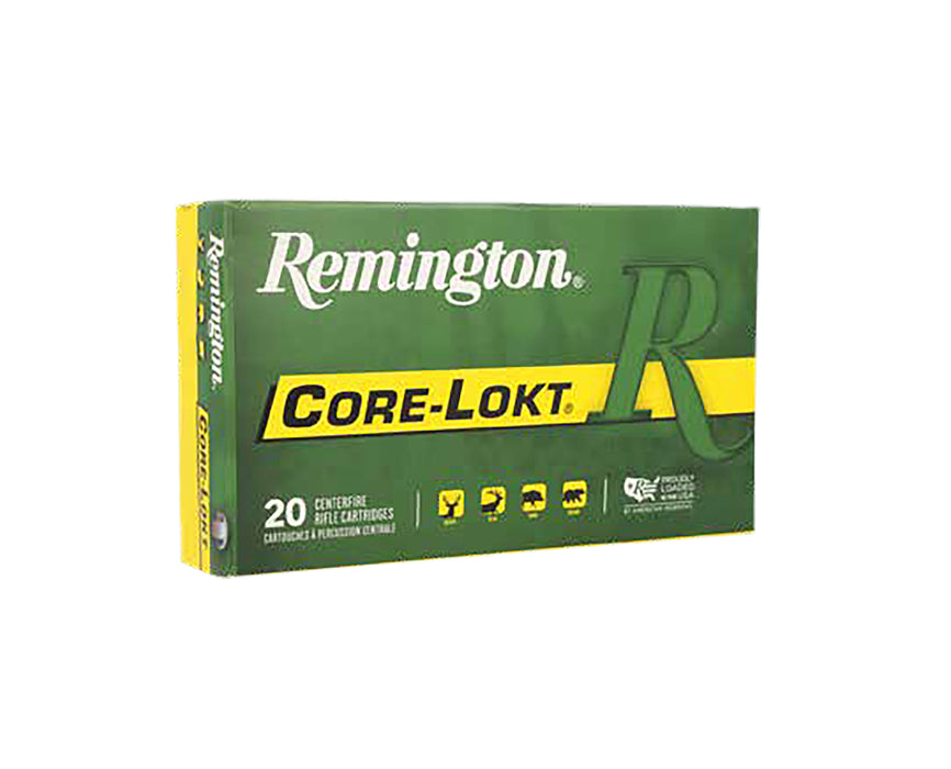 REM 20113 R300AAC6  300BO 130GR CORELOKT PSP