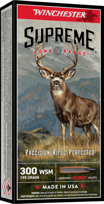WIN S300SBC  300WSM  195GR BC MAX            20/10
