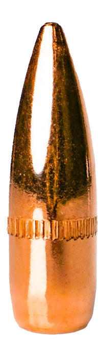 BERRYS 93300     223      .223   55GR FMJ      500
