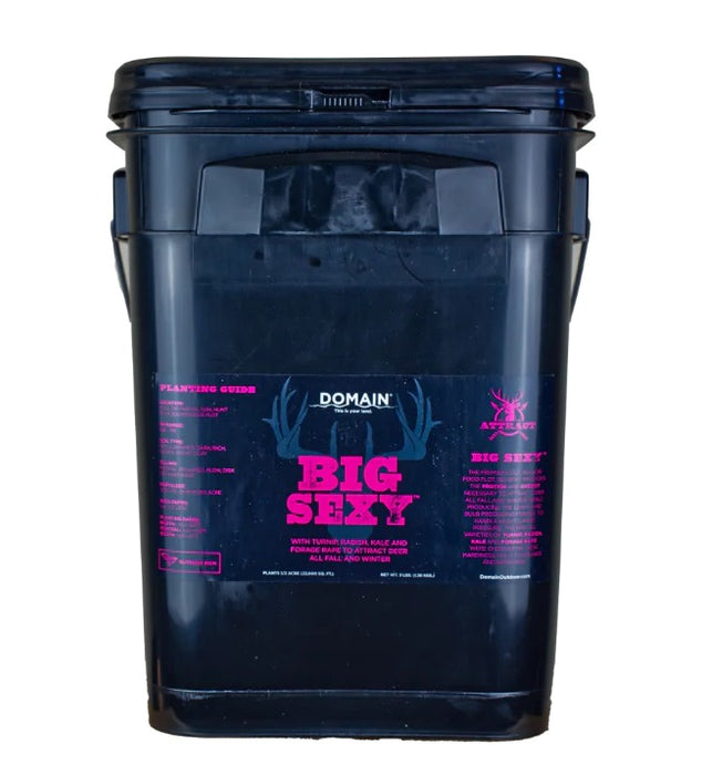 DOMAIN BSFP34     BIG SEXY