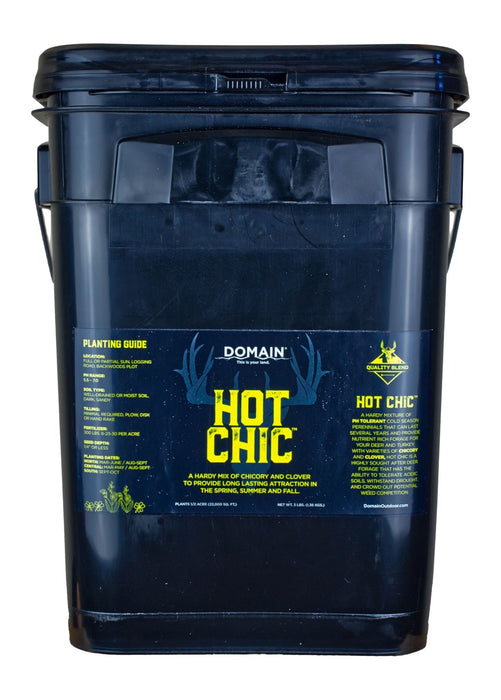 DOMAIN HCFP34     HOT CHIC