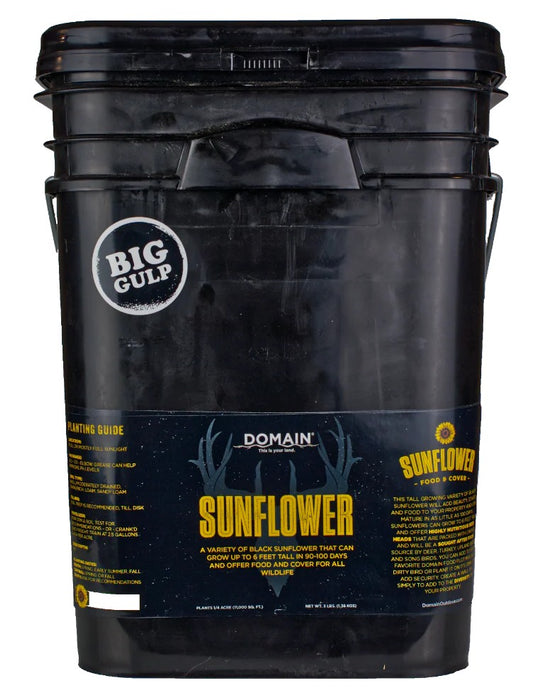 DOMAIN DSS3LB     SUNFLOWER